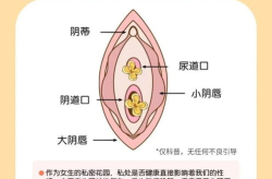 私密部位变粉嫩,揭秘私密部位变粉嫩的秘密