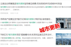 网红词语安排,解码网络流行语的崛起与演变